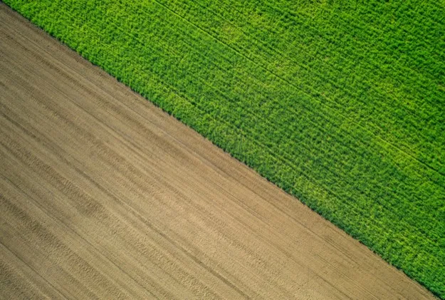 Aerial Survey
