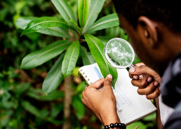 Conservation Surveys